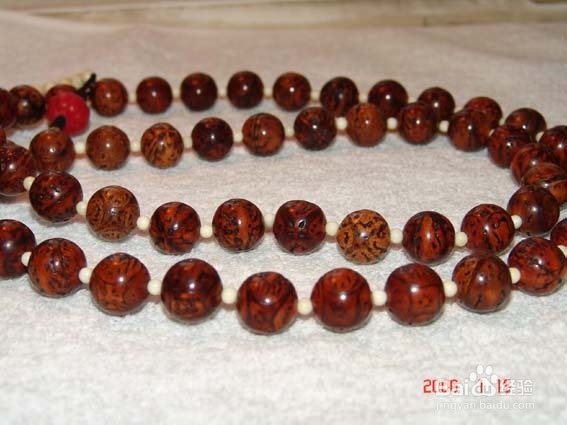 各种菩提（以免被那些奸商忽悠）