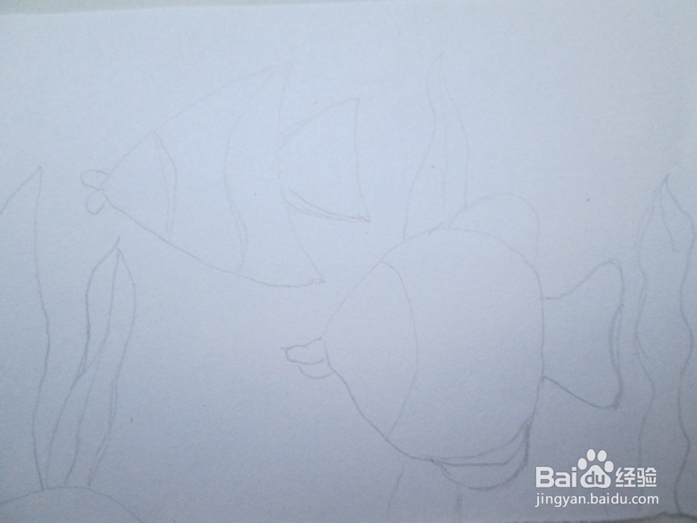 黑白线描画《美丽的鱼儿》的作画步骤