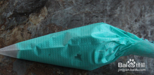 如何制作贝壳饼干