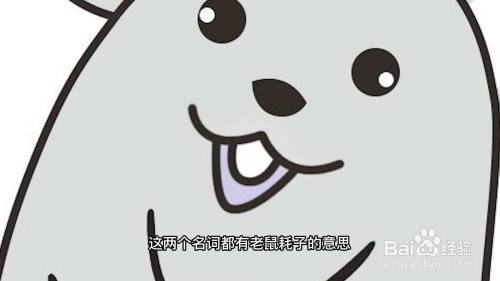 mouse的复数形式