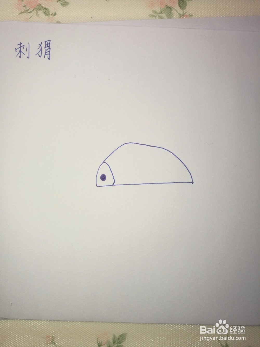 刺猬的简笔画怎么画