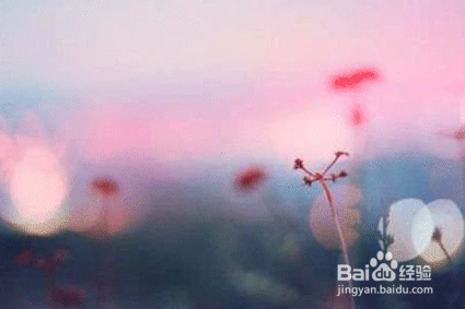 怎样才能改变孤僻不合群的性格