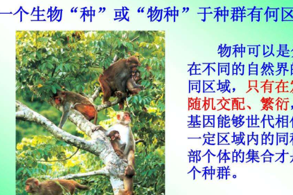 什么是能够相互配育的自然种群的类群