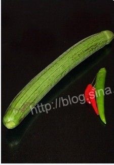 鲜嫩爽滑……丝瓜炒虾仁