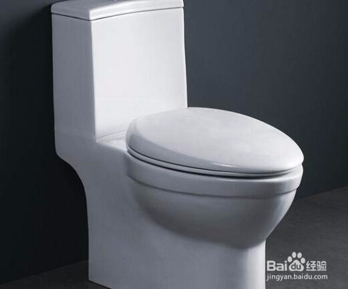 如何清理堵了的马桶