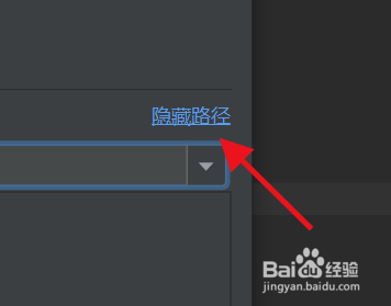 IntelliJ IDEA如何隐藏项目路径#校园分享#