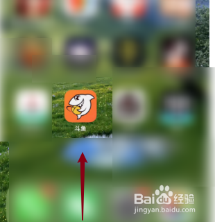 进入斗鱼的贵族开通记录页面