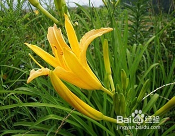 秋季减肥大作战 推荐4款美味减肥到底