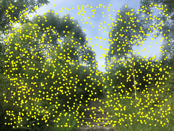 怎么用Mathematica来检测图片的特征点？