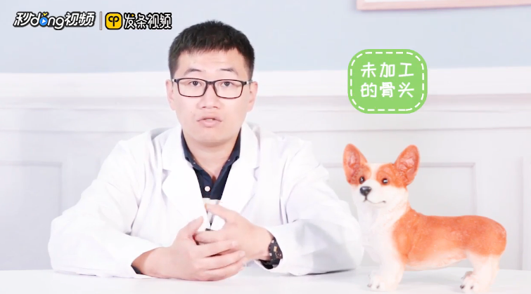 土狗不能吃的食物有哪些