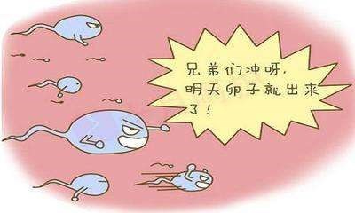 如何测出排卵日