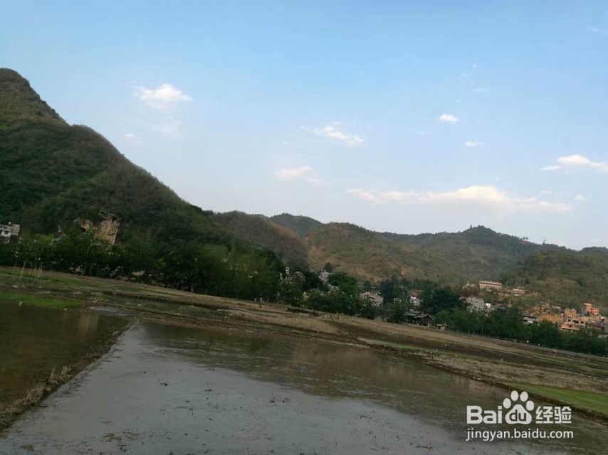 世外桃源—坝美旅游攻略