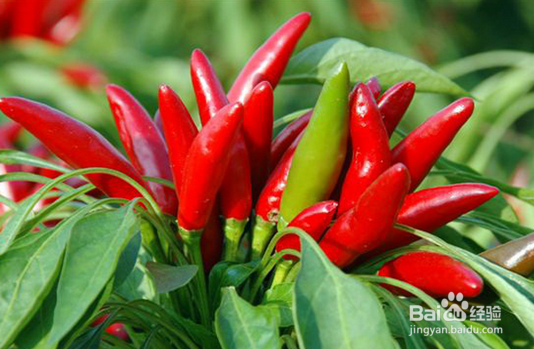 对于牙齿敏感应该怎么处理？