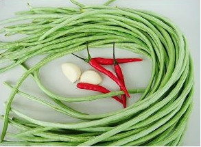 夏日爽口小凉菜——响油豇豆