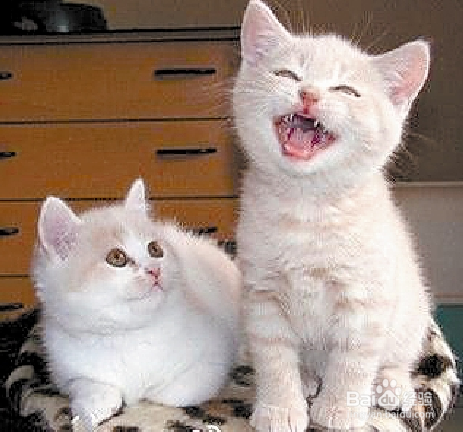 如何去克制不良情绪