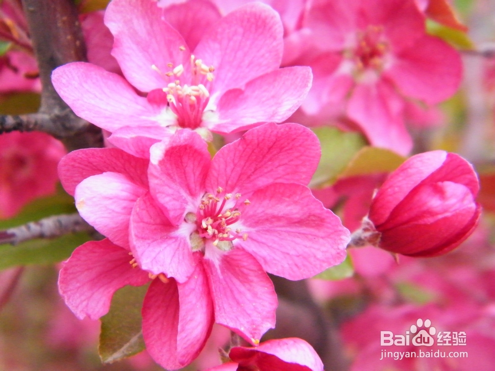 如何在职场和同事相处