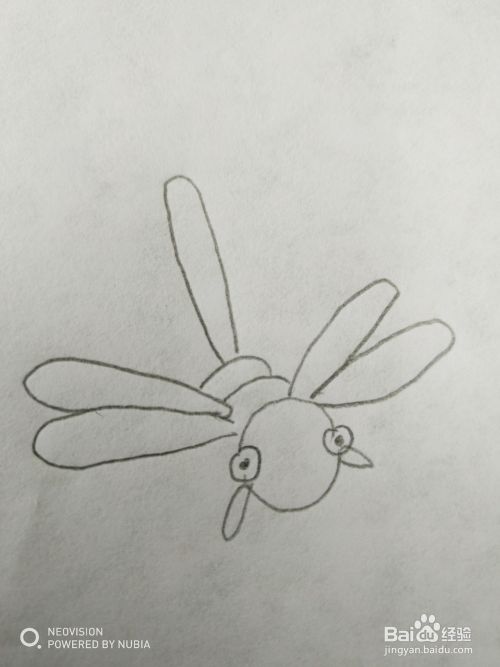 可爱简单的蜻蜓怎么画