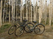 学生怎么使用小组学习的方法