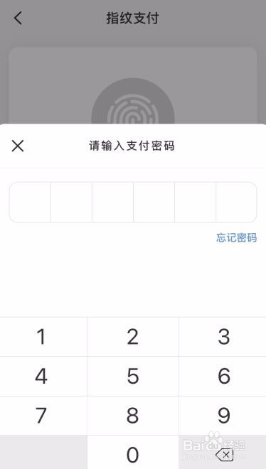 云闪付怎么开通指纹支付？