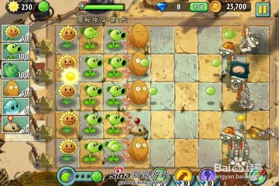 植物大战僵尸2中文版神秘埃及：[1]第一关一星