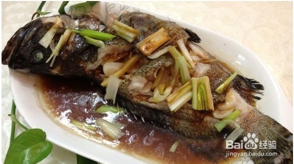 清蒸青斑鱼的家常做法