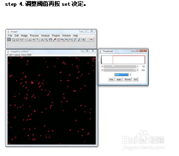 imageJ中文使用方法