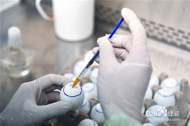 怎样规划养殖场兽医化验室