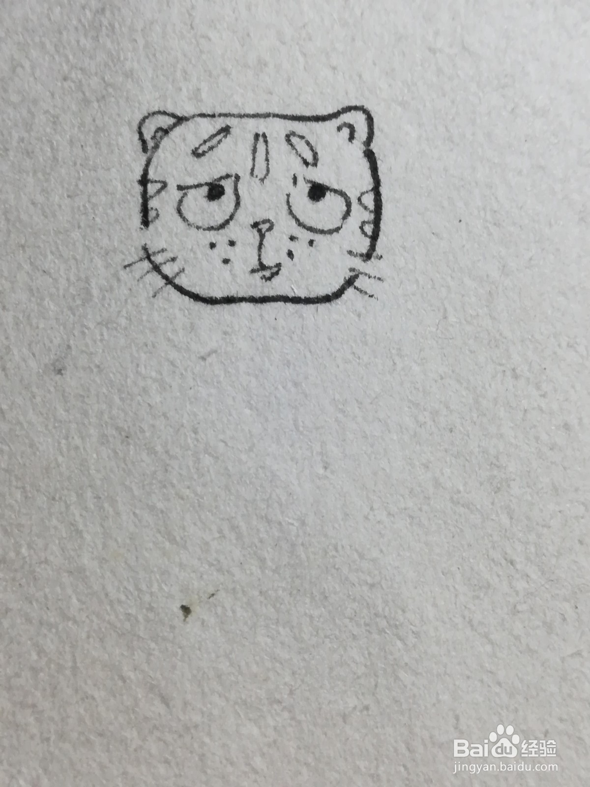 怎么画卡通大脸猫