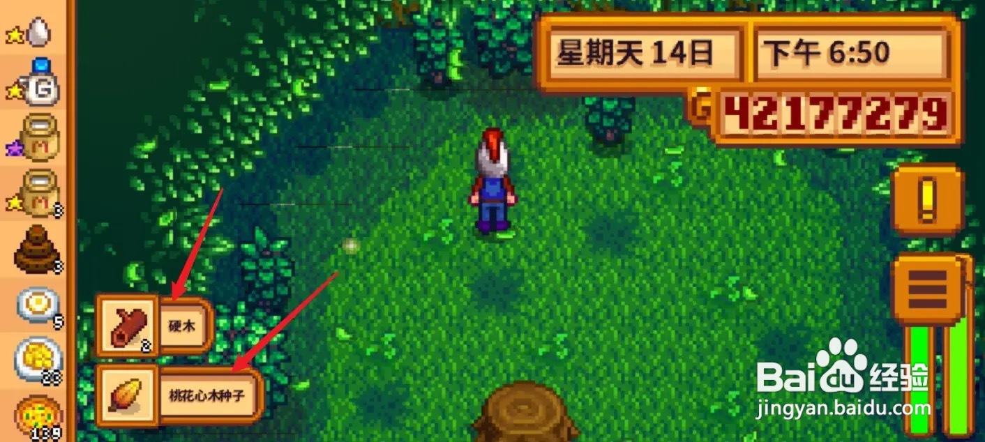 星露谷物语硬木怎么获得