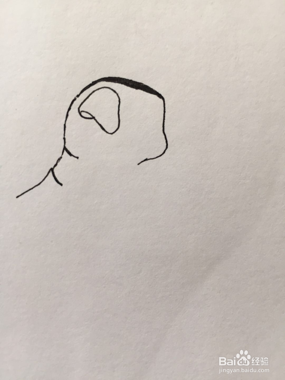 dxdll手绘之小狗