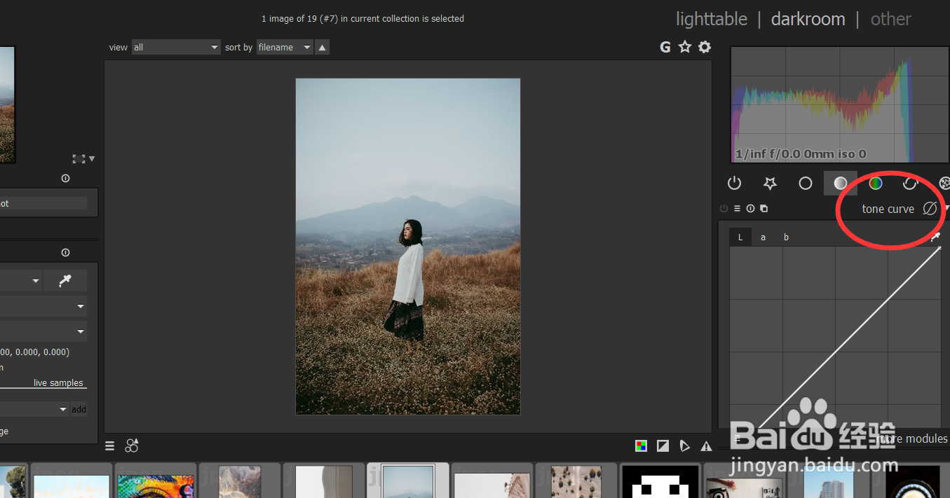 怎样使用darktable修改图片的tone curve?