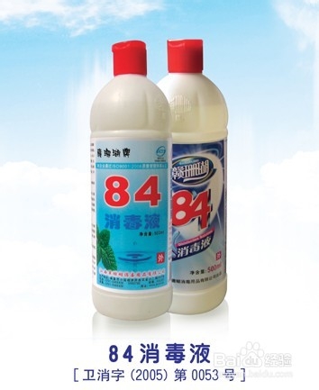家里有了老鼠和蟑螂该怎么办