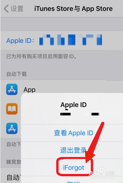 iPhone忘记了apple id密码怎么办