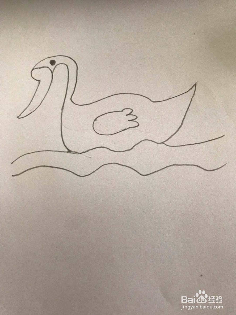 小天鹅的简笔画的画法