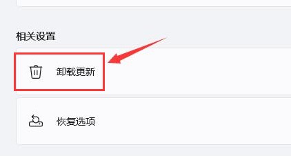 Windows11如何卸载闪屏更新