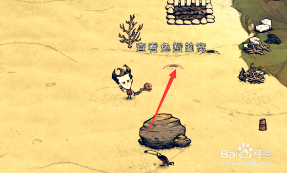 饥荒海滩如何抓螃蟹