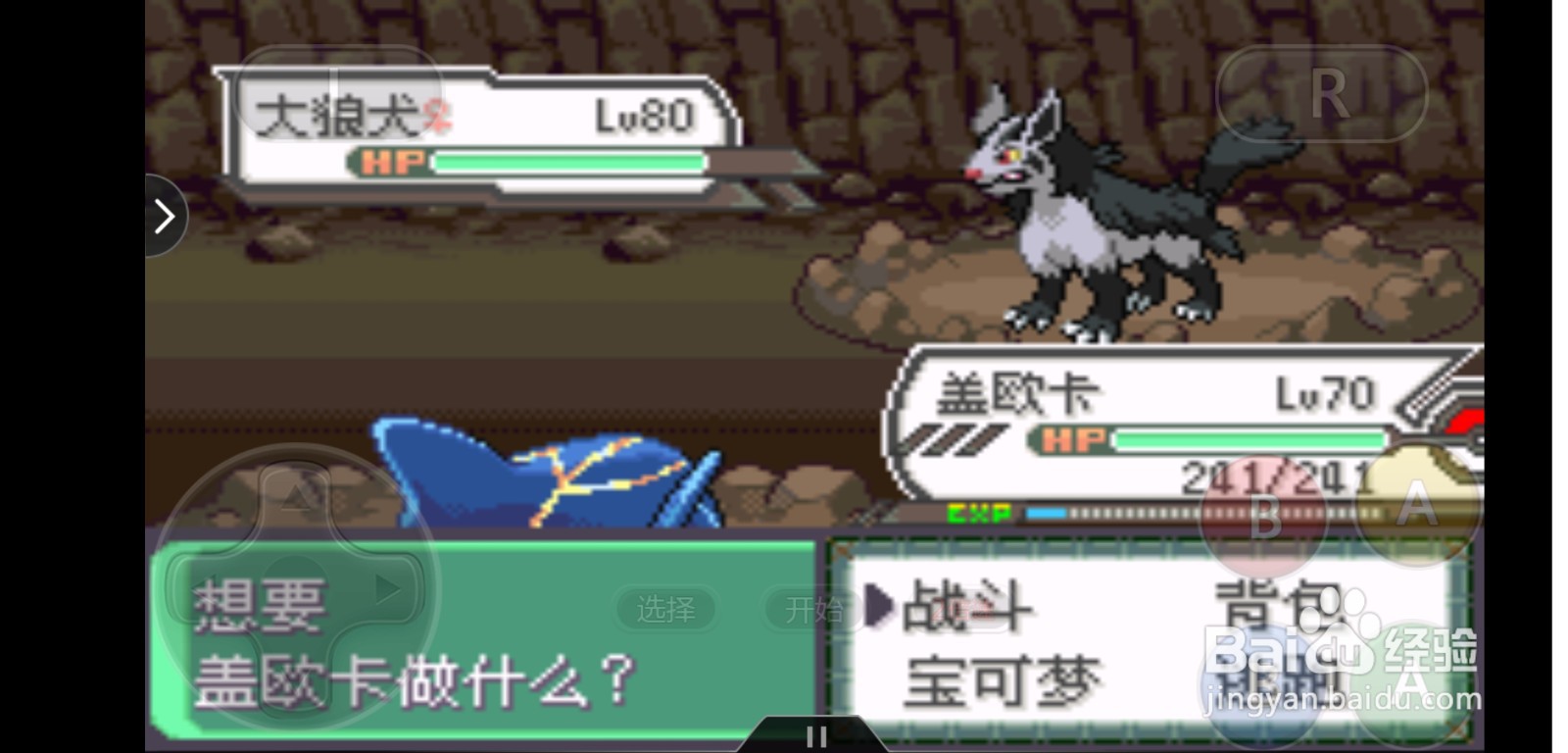 口袋妖怪究极绿宝石4.B固拉多的抓捕方法