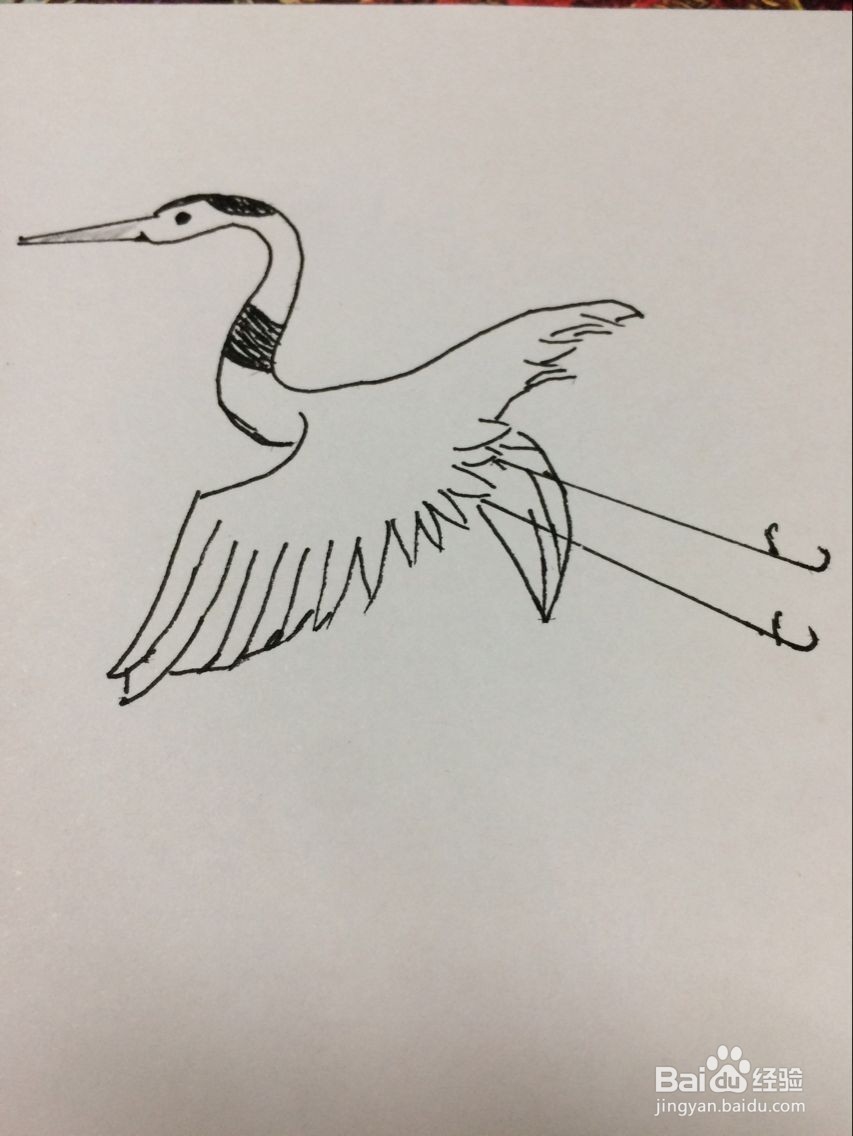 简笔画仙鹤的方法