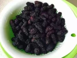 补肾妙招一吃就行