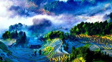 紫鹊界梯田旅游攻略