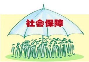 社保断缴等于白交钱后果真有这么严重吗