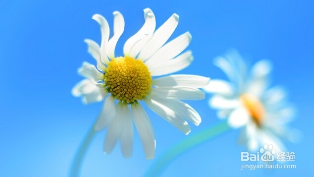 通过微信头像判断对方性格(续)