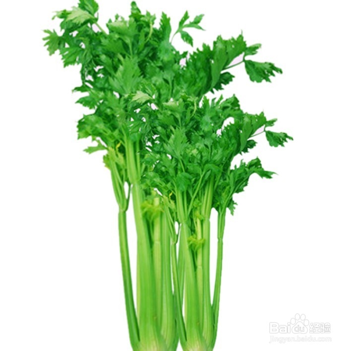 荤素搭配大全