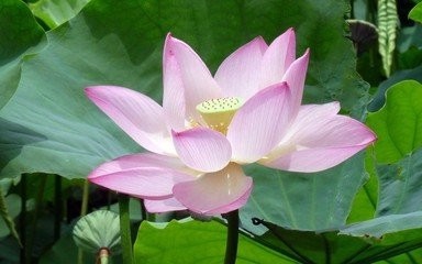 如何根据需求选单反相机