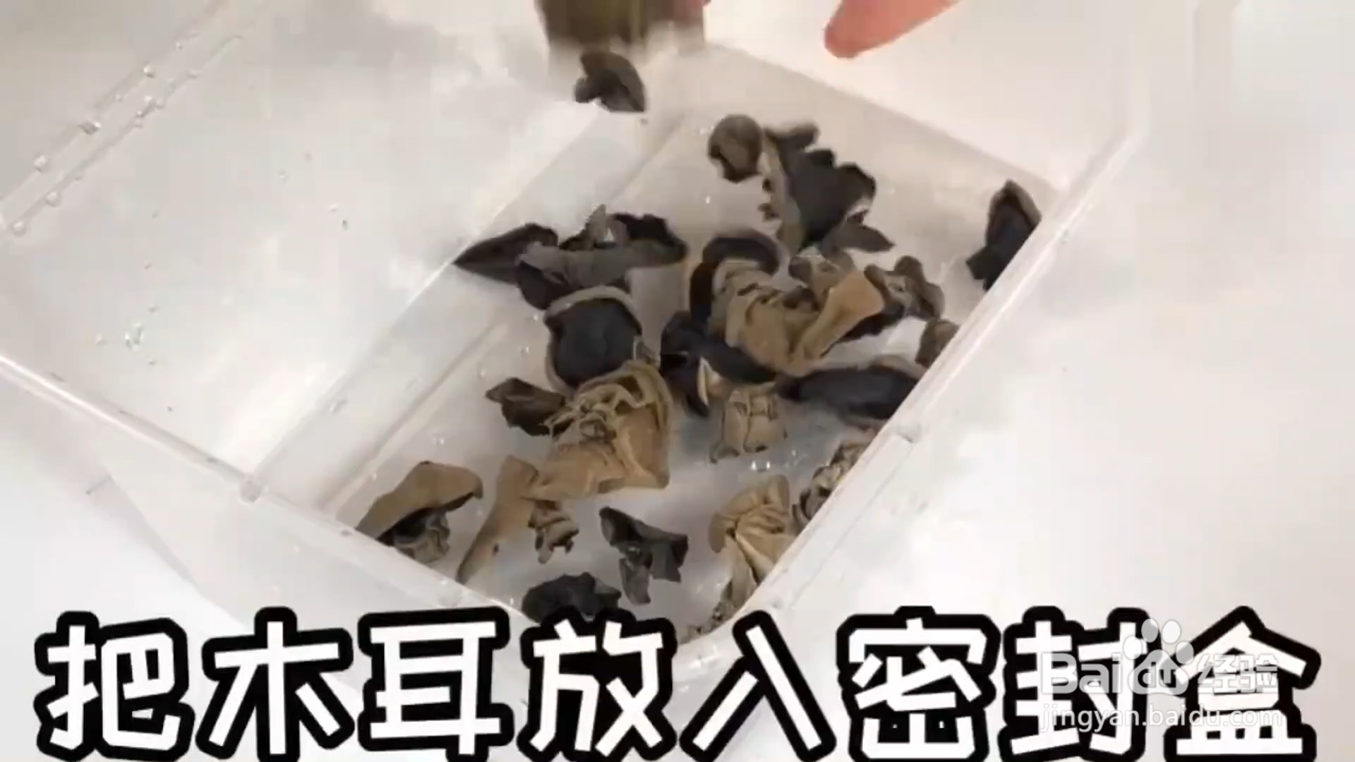 怎么快速泡发木耳
