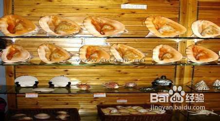 海南三亚贝壳馆景点介绍