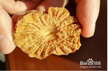 肉苁蓉好处及食用方法