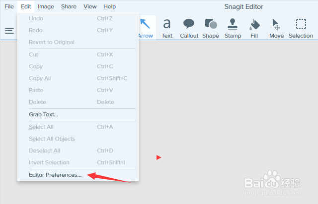 Snagit 2019 Editor怎么设置障碍主题为黑暗的