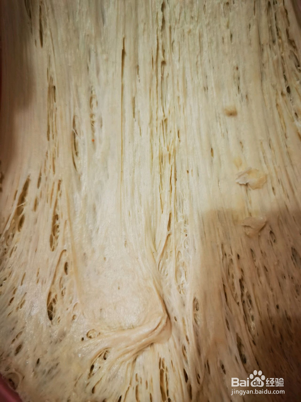 白菜粉丝包的做法