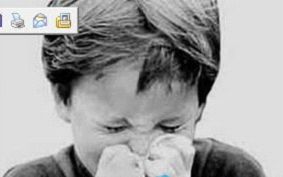 怎样正确区分鼻炎和感冒